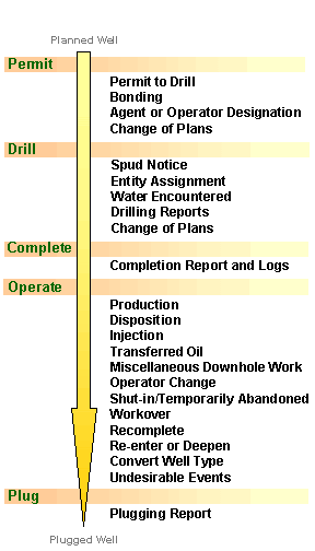 Visual Guide to Reporting